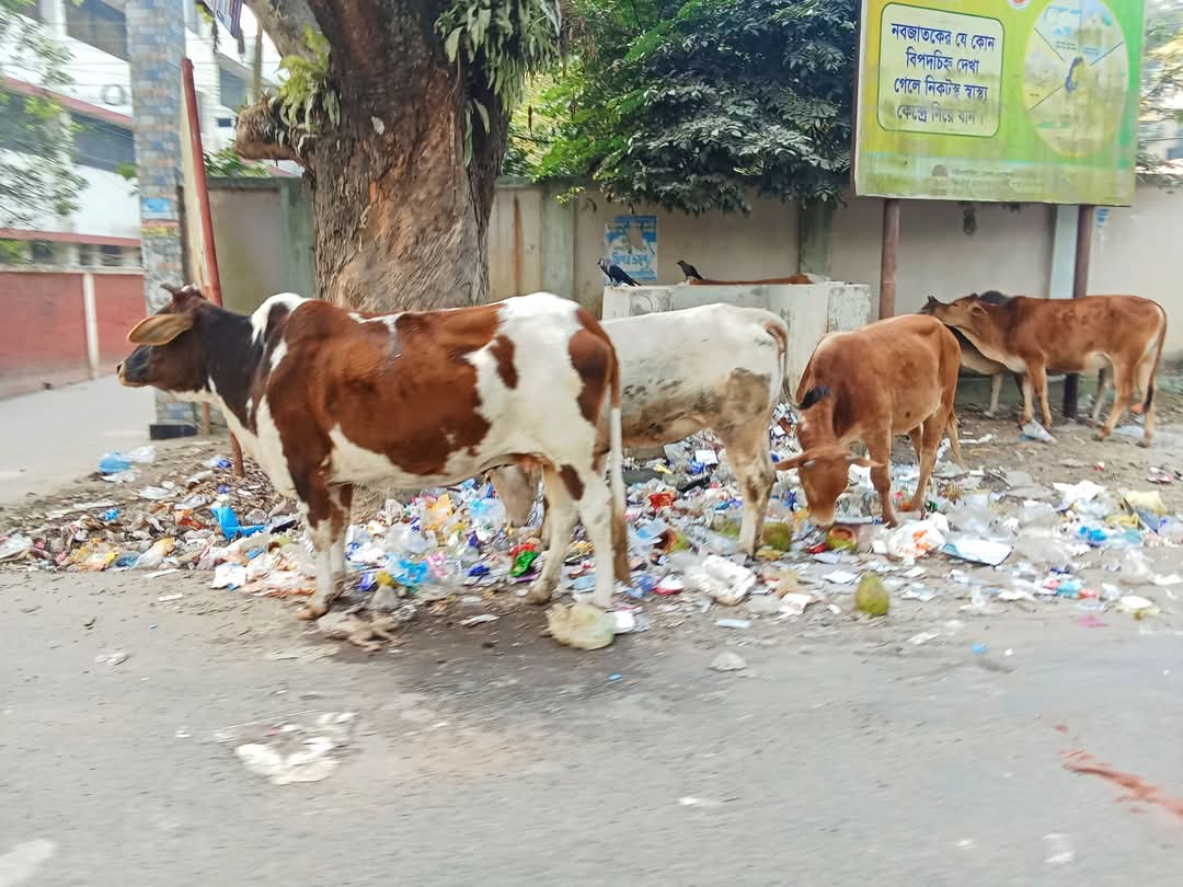 জামালপুরে বর্জ্যের দুর্গন্ধে অতিষ্ঠ পথচারী