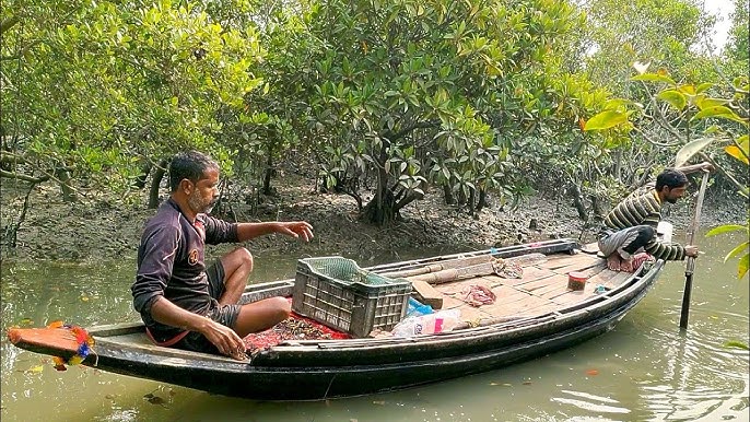 সুন্দরবনে কাঁকড়া আহরণে প্রান্তিক জেলে (ফাইল ফটো)