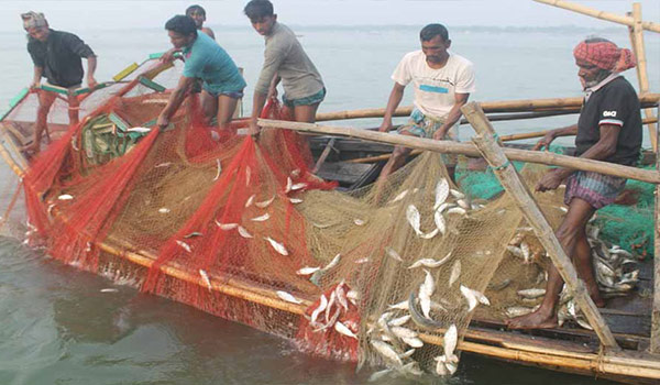 নদীতে ২২ দিন মাছ ধরা বন্ধ রাখা হয় 