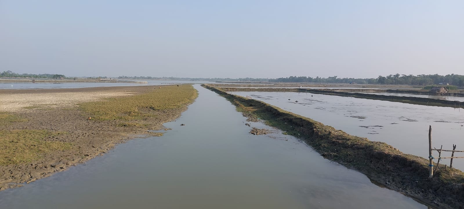 ৮০ একরের মাছের ঘের দখলের অভিযোগ 