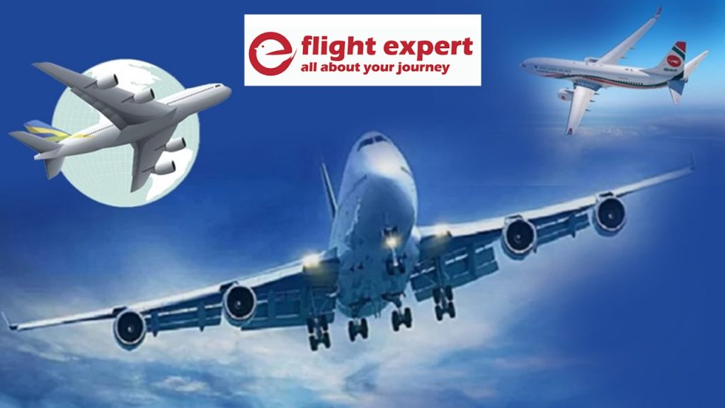 হঠাৎ বন্ধ ফ্লাইট এক্সপার্ট