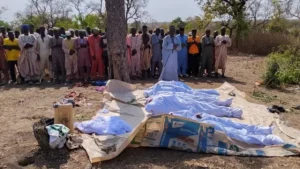 নাইজেরিয়ায় এলোপাতাড়ি গুলি, নিহত ২৯