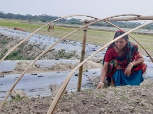 ঘেরের উঁচু জমিতে বীজ তৈরি করছেন রঞ্জিতা রানী সমাদ্দার