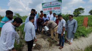 রায়পুরায় রেললাইনের পাশে ২৫০ তালগাছের চারা রোপণ