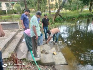 চরফ্যাশনে বিরল প্রজাতির ৩২ কচ্ছপ উদ্ধার