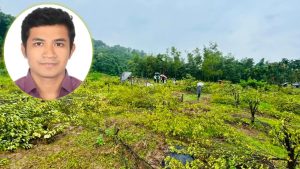 ১২০০ কমলা গাছ কাটার ঘটনায় রেঞ্জ কর্মকর্তা বদলি