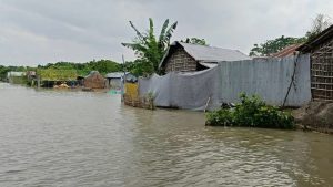পদ্মায় পানি কমেছে, বন্যা পরিস্থিতির উন্নতি