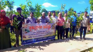 ভেদরগঞ্জে ৩ হাজার ১৪০টি গাছের চারা বিতরণ