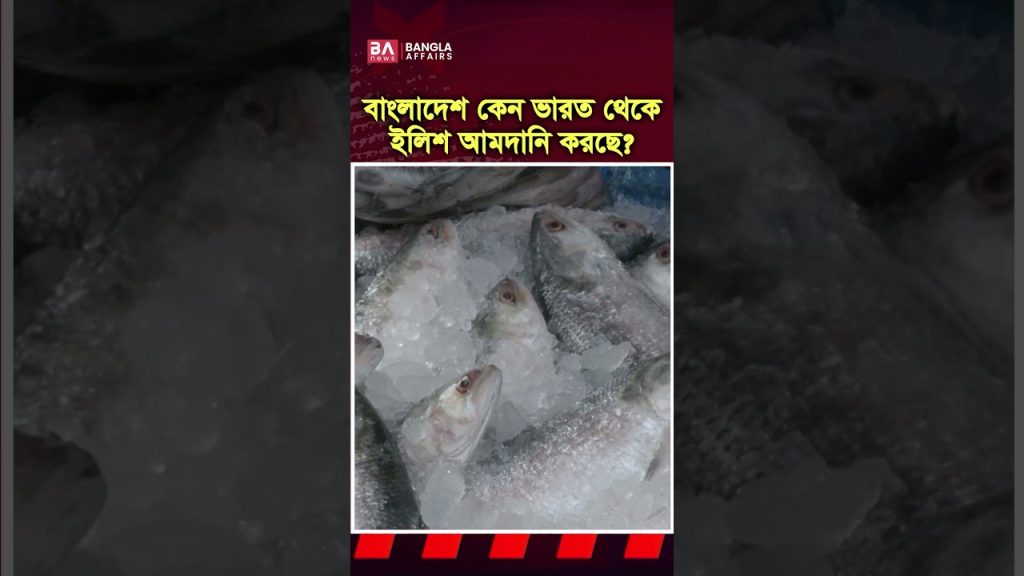 ইলিশের দেশ বাংলাদেশে ভারতীয় ইলিশ কেন?