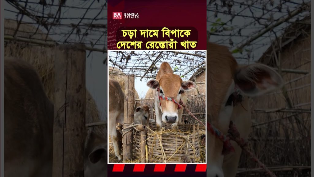 গরুর মাংসের বাজারে বড় পরিবর্তন?