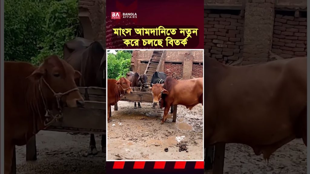 বিদেশ থেকে গরুর মাংস আমদানি হলে লাভ কার, ক্ষতি কার?